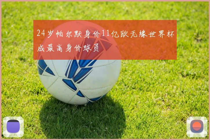 24岁帕尔默身价11亿欧无缘世界杯成最高身价球员