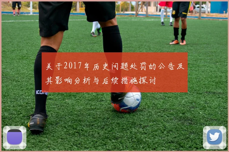 关于2017年历史问题处罚的公告及其影响分析与后续措施探讨