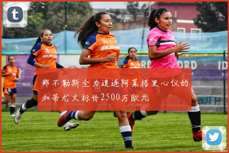 那不勒斯全力追逐阿莱格里心仪的加蒂尤文标价2500万欧元